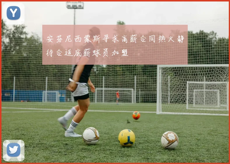安芬尼西蒙斯寻求高薪合同热火静待合适底薪球员加盟