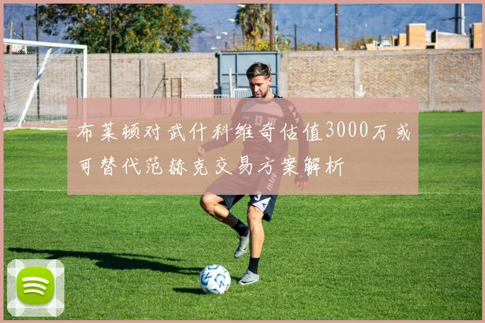 布莱顿对武什科维奇估值3000万或可替代范赫克交易方案解析