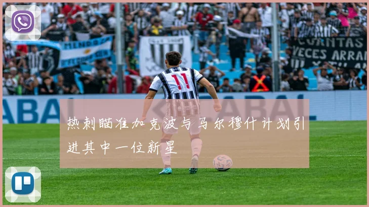 热刺瞄准加克波与马尔穆什计划引进其中一位新星